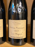 Les Poyeux - 75cl - 2019 - Antoine Sanzay