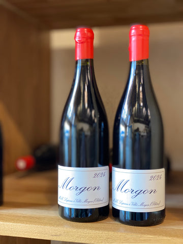 Morgon Tradition Lapierre