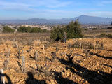 Vieilles Vignes Les Garrigues - 75cl - 2020 - Domaine De Cristia