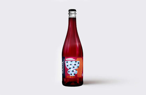 Bière Sauvages Noir cest Noir - 75cl - Brasserie Gallia